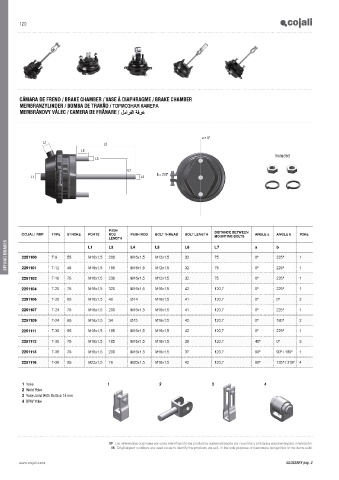 Catalogs auto parts for car and truck