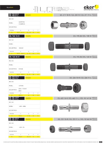 Catalogs auto parts for car and truck