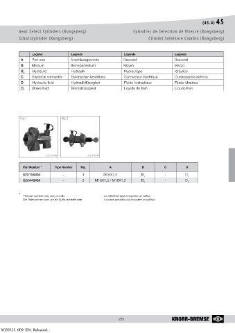 Catalogs auto parts for car and truck