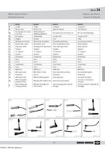 Catalogs auto parts for car and truck