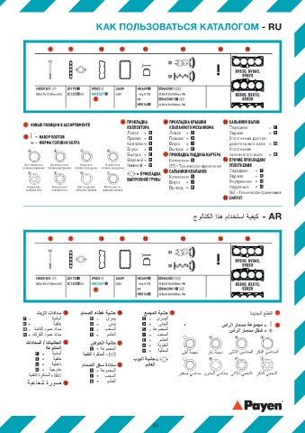 Catalogs auto parts for car and truck