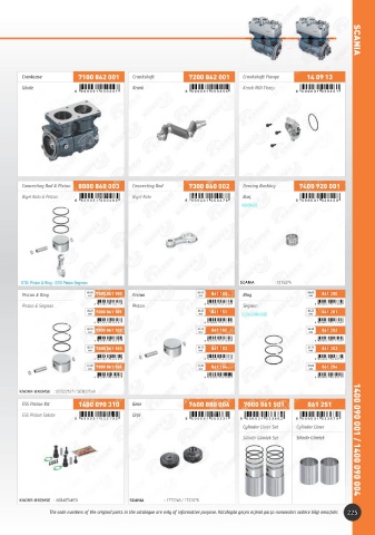 Catalogs auto parts for car and truck